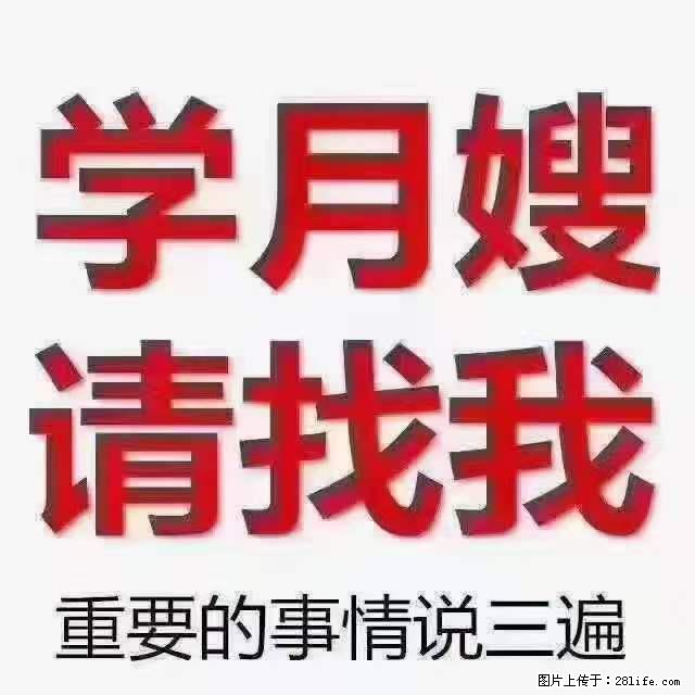 为什么要学习月嫂,育婴师? - 其他广告 - 广告专区 - 吕梁分类信息 - 吕梁28生活网 lvliang.28life.com
