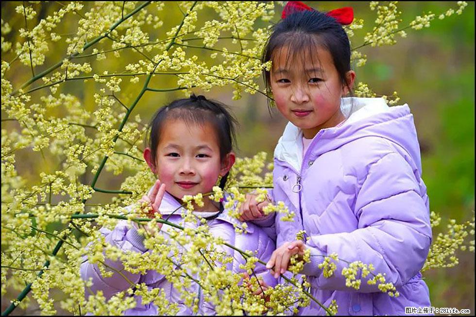 【春天,广西桂林灌阳县向您发出邀请!】米珠山前有片山苍子花在飘香 - 游山玩水 - 吕梁生活社区 - 吕梁28生活网 lvliang.28life.com