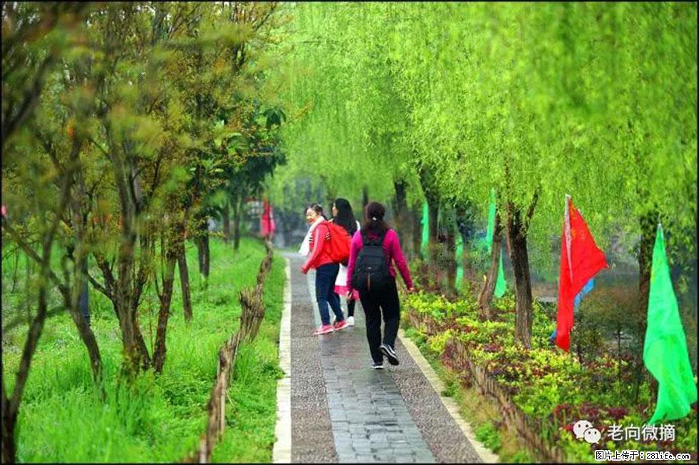 【春天,广西桂林灌阳县向您发出邀请!】江口老街又逢春 - 游山玩水 - 吕梁生活社区 - 吕梁28生活网 lvliang.28life.com