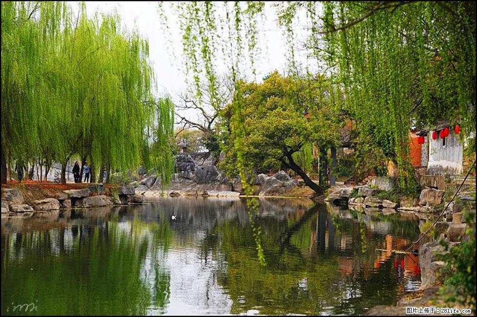 【春天,广西桂林灌阳县向您发出邀请!】江口老街又逢春 - 游山玩水 - 吕梁生活社区 - 吕梁28生活网 lvliang.28life.com