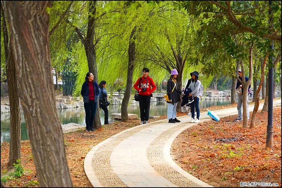 【春天,广西桂林灌阳县向您发出邀请!】江口老街又逢春 - 游山玩水 - 吕梁生活社区 - 吕梁28生活网 lvliang.28life.com