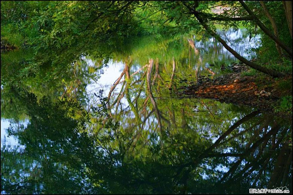 【春天,广西桂林灌阳县向您发出邀请!】熊家寨湿地公园 - 游山玩水 - 吕梁生活社区 - 吕梁28生活网 lvliang.28life.com