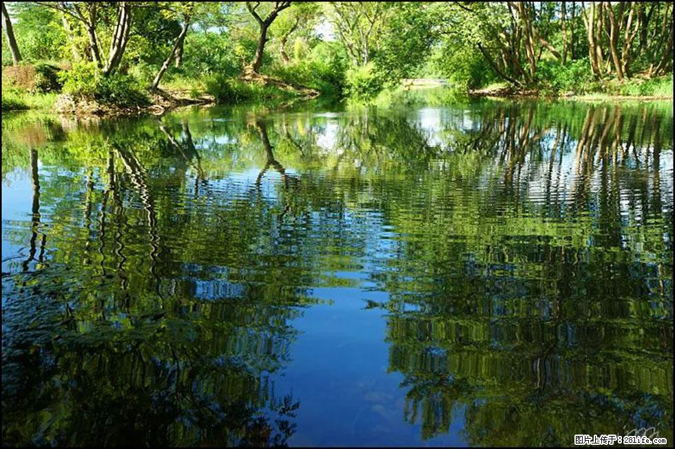 【春天,广西桂林灌阳县向您发出邀请!】熊家寨湿地公园 - 游山玩水 - 吕梁生活社区 - 吕梁28生活网 lvliang.28life.com