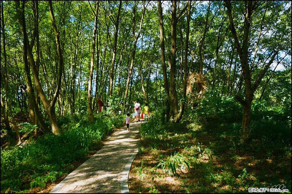 【春天,广西桂林灌阳县向您发出邀请!】熊家寨湿地公园 - 游山玩水 - 吕梁生活社区 - 吕梁28生活网 lvliang.28life.com