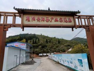 【灌阳县油茶产业示范区】一个有着充实的精神生活的人,对待身外之物自会有一种淡泊的态度 - 吕梁28生活网 lvliang.28life.com