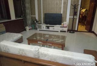 兴家房屋中介,竭诚为您服务。 - 吕梁28生活网 lvliang.28life.com
