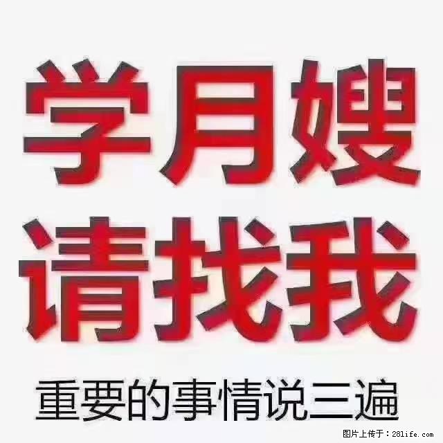 【招聘】月嫂,上海徐汇区 - 职场交流 - 吕梁生活社区 - 吕梁28生活网 lvliang.28life.com