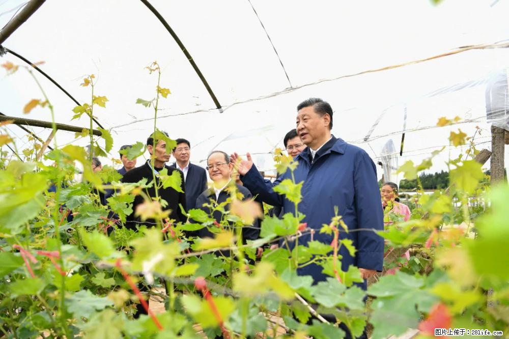习近平赴广西考察调研 - 吕梁生活资讯 - 吕梁28生活网 lvliang.28life.com