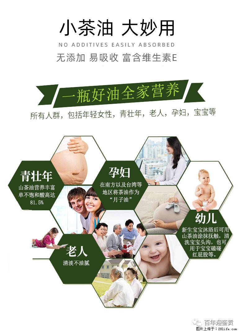 世界没有真相,只有认知,最好的食用油是中国的山茶油! - 吕梁生活资讯 - 吕梁28生活网 lvliang.28life.com
