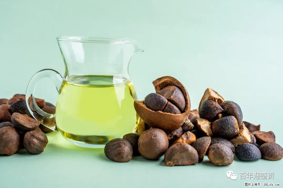 世界没有真相，只有认知，最好的食用油是中国的山茶油！ - 吕梁生活资讯 - 吕梁28生活网 lvliang.28life.com