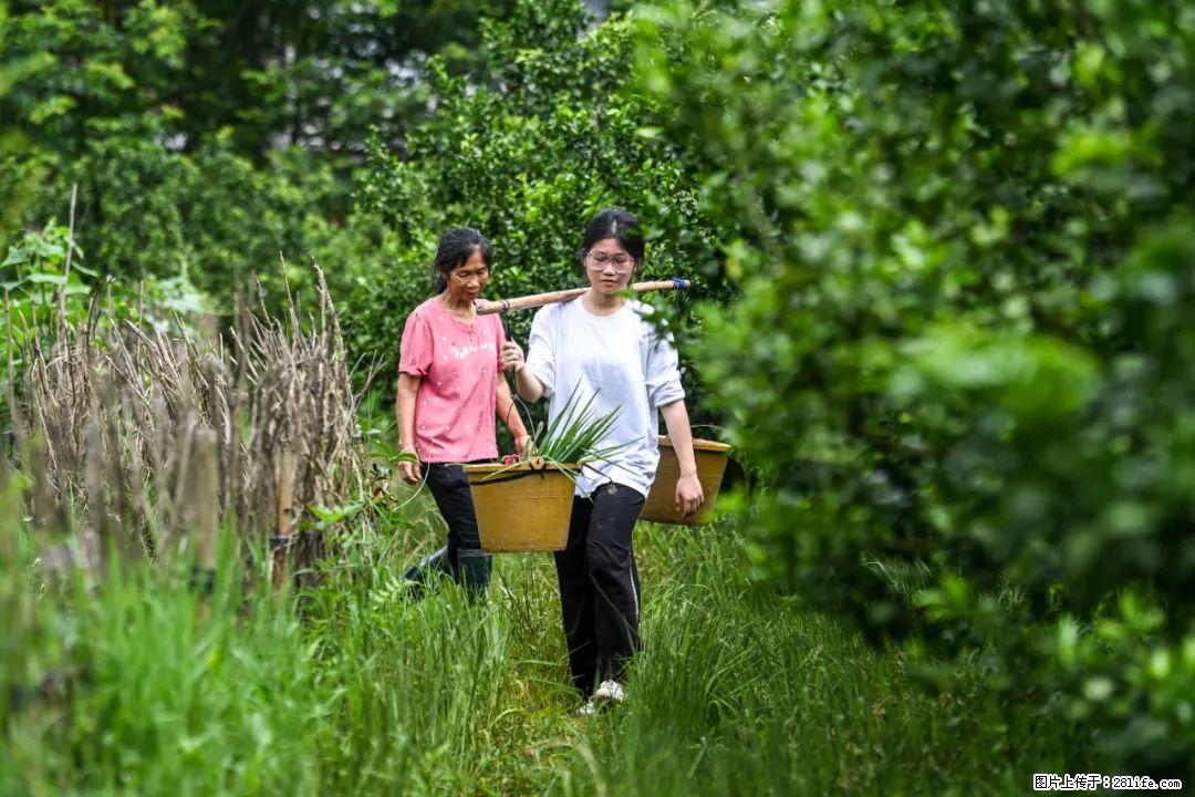 全网追的“扁担女孩”,找了一份暑假工,时薪12元 - 吕梁生活资讯 - 吕梁28生活网 lvliang.28life.com