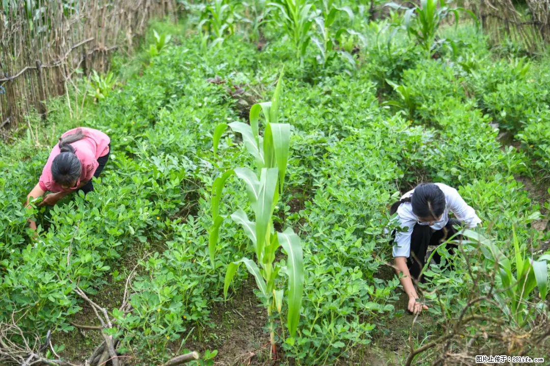 全网追的“扁担女孩”,找了一份暑假工,时薪12元 - 吕梁生活资讯 - 吕梁28生活网 lvliang.28life.com