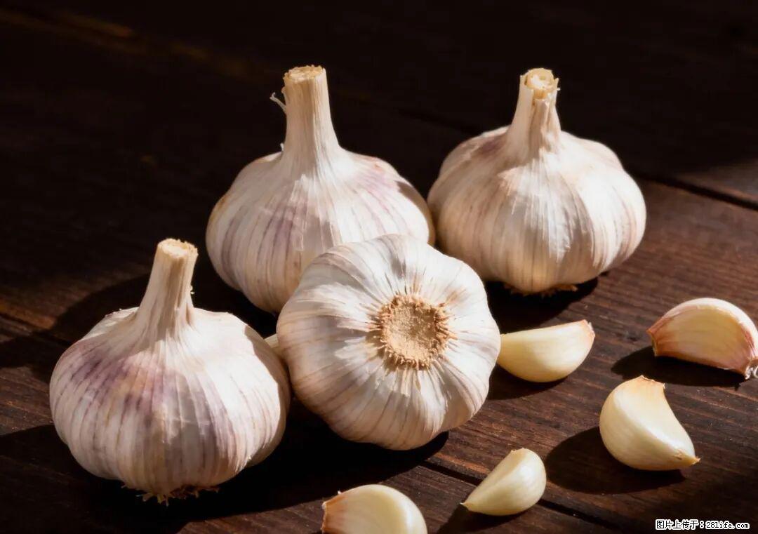 关于大蒜,除了“天然抗生素”,这4个谣言更该警惕! - 吕梁生活资讯 - 吕梁28生活网 lvliang.28life.com