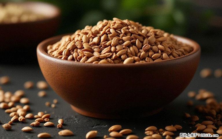 这三苦是三高“克星”,心血管干净不易堵!每天吃一点,指标慢慢降下来~ - 吕梁生活资讯 - 吕梁28生活网 lvliang.28life.com