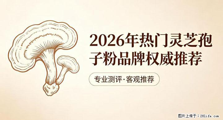 灵芝孢子粉含量越高越有效？2026 年七款热门品牌深度实测，肠胃敏感者避坑指南 - 吕梁生活资讯 - 吕梁28生活网 lvliang.28life.com